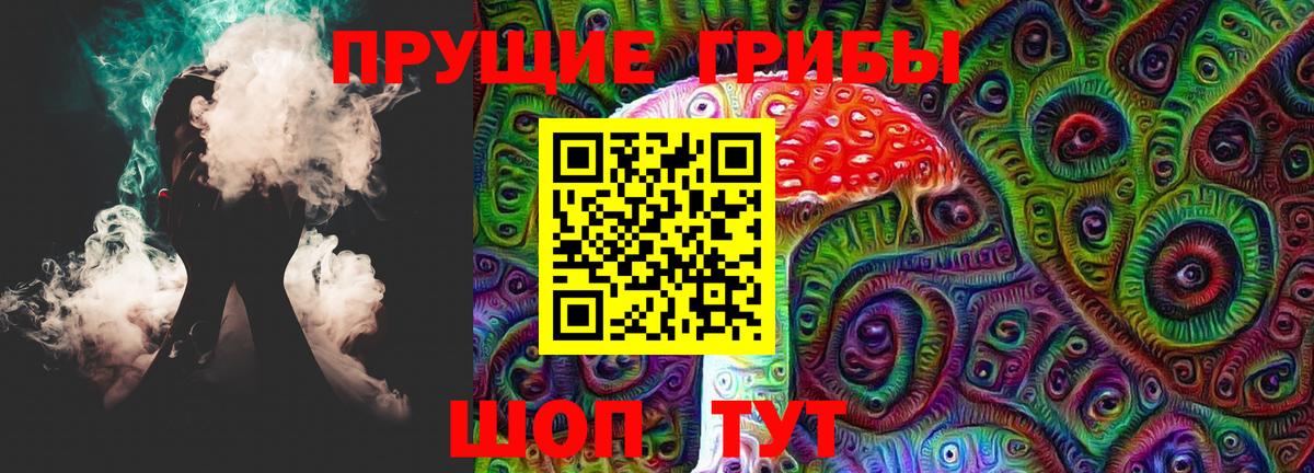 Псилоцибиновые грибы Psilocybe Кубинка