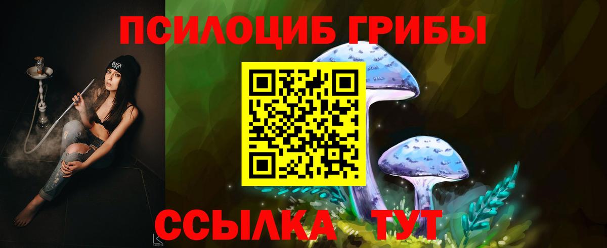 Кубинка  Галлюциногенные грибы Psilocybe  Вход с VPN 